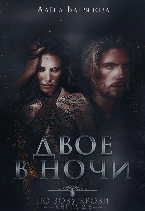 Обложка книги «Двое в ночи»