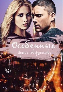 Обложка книги «Особенные. Путь к совершенству»