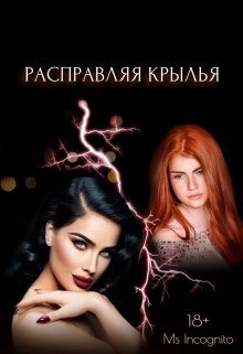 Обложка книги «Расправляя крылья»