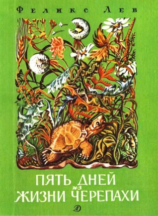 Обложка книги «Пять дней из жизни черепахи»