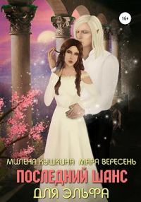 Обложка книги «Последний шанс для эльфа»