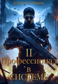 Обложка книги «Профессионал в системе. Книга 2»