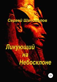 Обложка книги «Ликующий на небосклоне»