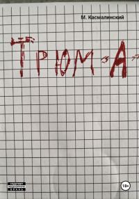 Обложка книги «Трюм "А"»