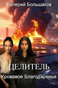 Обложка книги «Целитель #13 Кровавое Благодаренье»