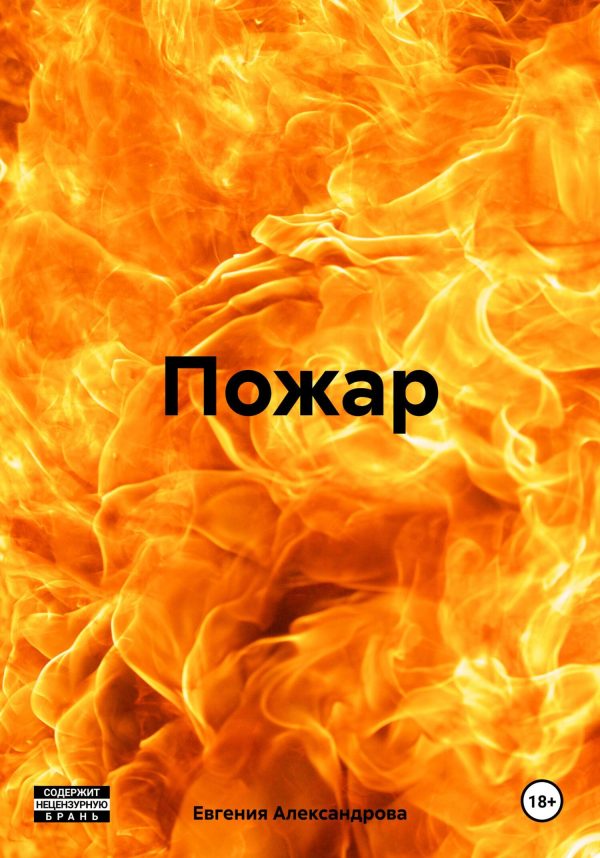 Обложка книги «Пожар»