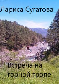 Обложка книги «Встреча на горной тропе»