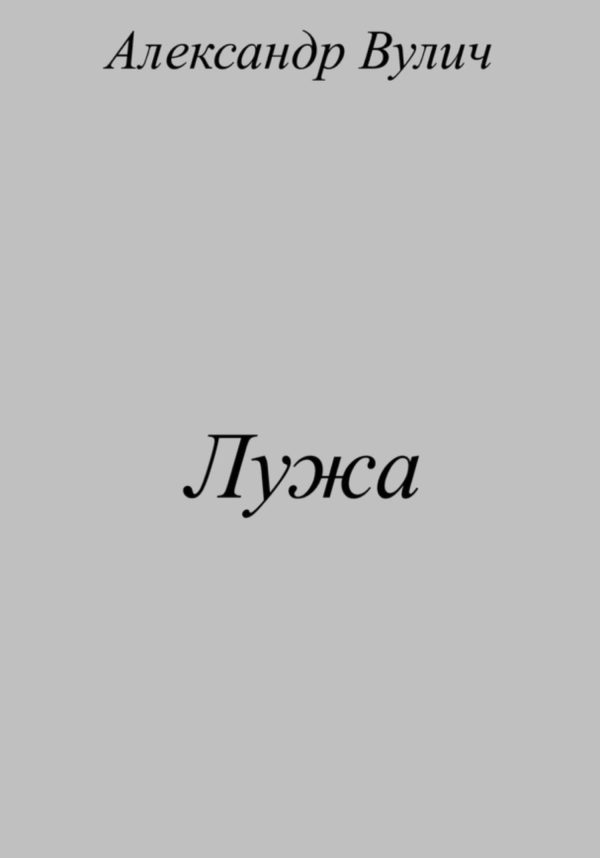 Обложка книги «Лужа»