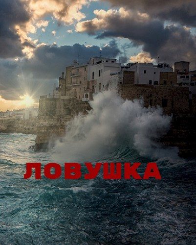 Обложка книги «Ловушка»