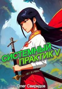 Обложка книги «Системный практик V»