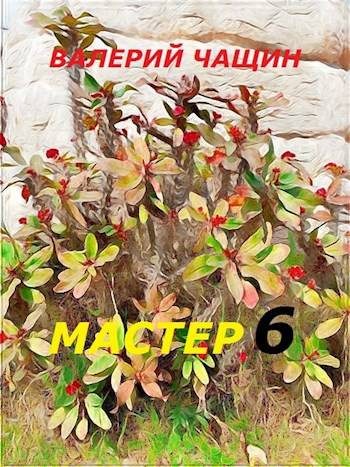 Обложка книги «Мастер 6»