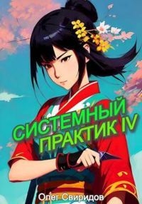 Обложка книги «Системный практик IV»