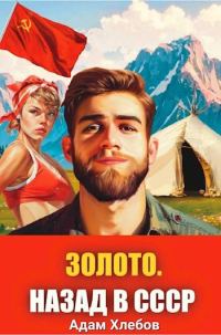 Обложка книги «Золото. Назад в СССР 1»