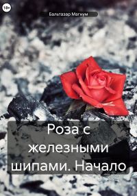Обложка книги «Роза с железными шипами: Начало»