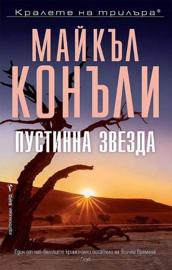 Обложка книги «Пустинна звезда»