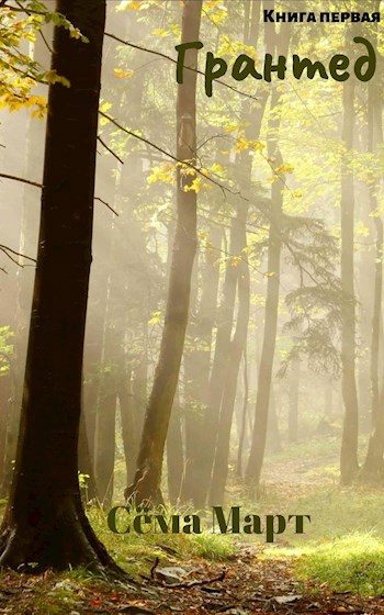 Обложка книги «Грантед»