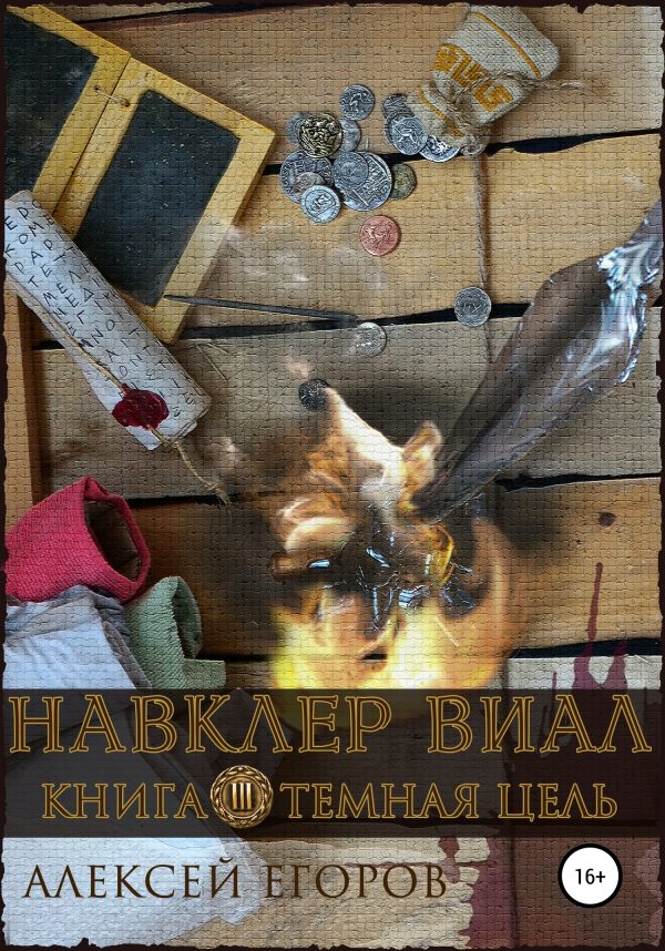 Обложка книги «Темная цель»
