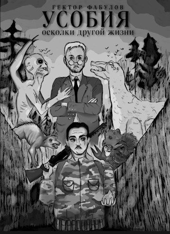 Обложка книги «Усобия: Осколки другой жизни»