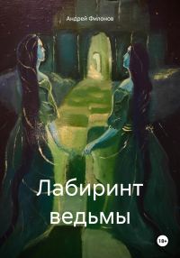 Обложка книги «Лабиринт Ведьмы»
