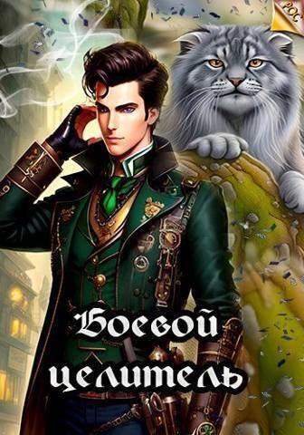 Обложка книги «Боевой целитель»