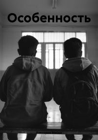 Обложка книги «Особенность»