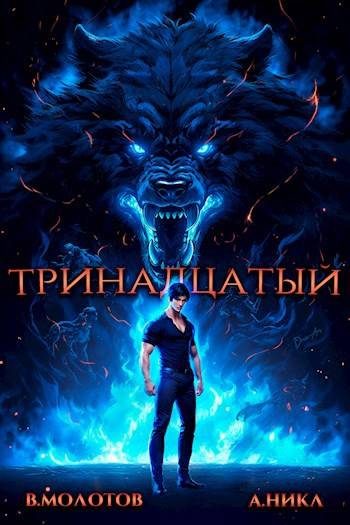 Обложка книги «Тринадцатый IV»