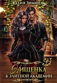 Обложка книги «Нищенка в элитной академии»