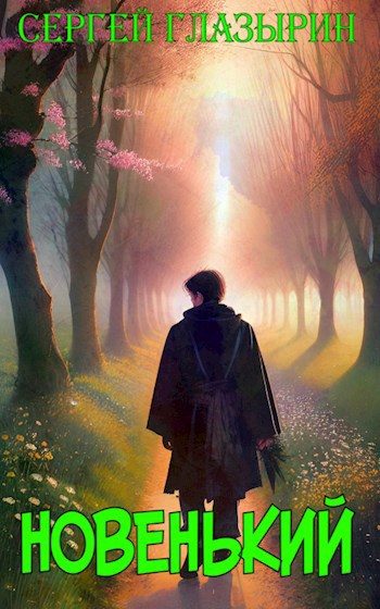 Обложка книги «Новенький»