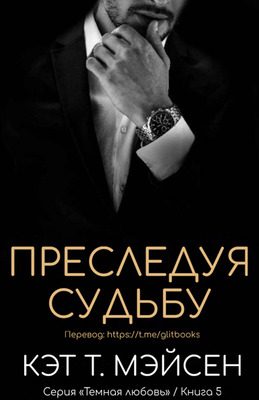 Обложка книги «Преследуя судьбу»