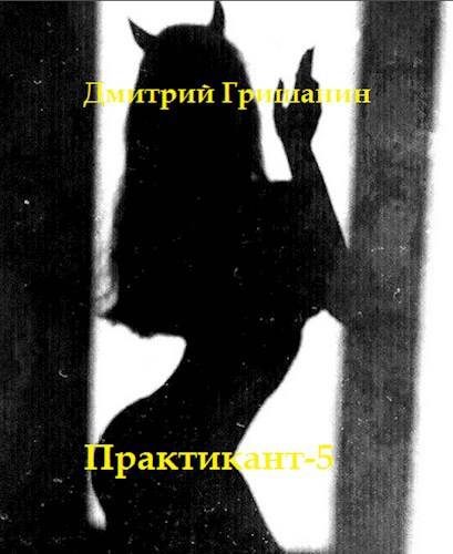 Обложка книги «Real-RPG. Практикант 5»