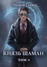 Обложка книги «Князь шаман. Том 4»