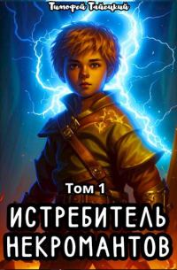 Обложка книги «Истребитель некромантов. Том 1»