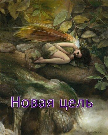 Обложка книги «Новая цель»