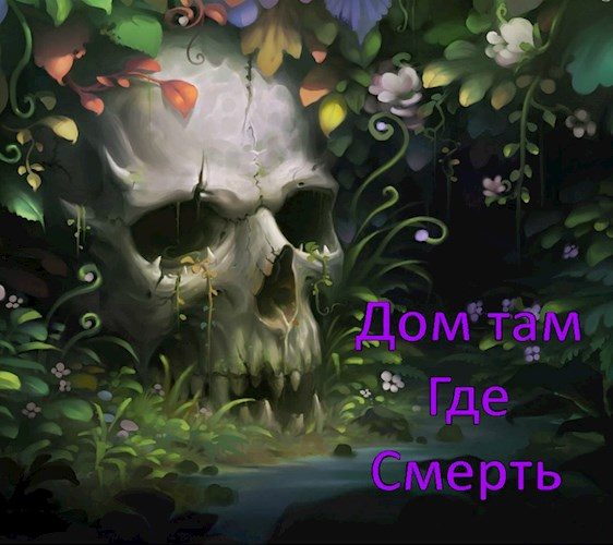 Обложка книги «Дом там, где Смерть»