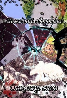 Обложка книги «Осколки снов»