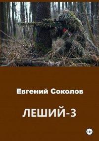 Обложка книги «Леший 3»