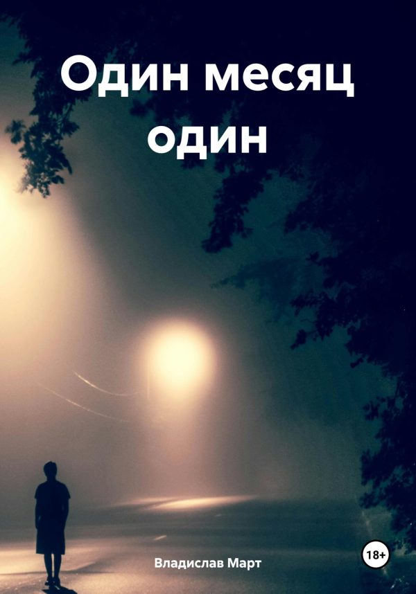 Обложка книги «Один месяц один»