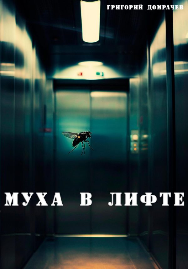 Обложка книги «Муха в лифте»