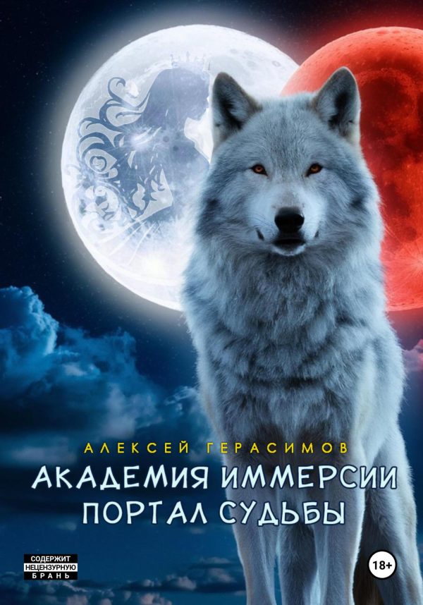 Обложка книги «Академия Иммерсии: Портал судьбы»