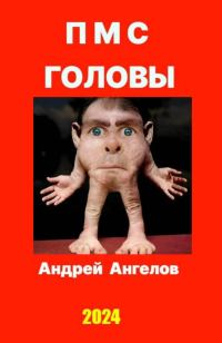 Обложка книги «ПМС головы»