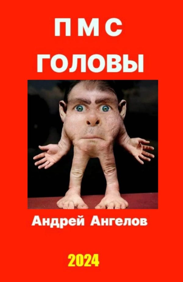 Обложка книги «ПМС головы»