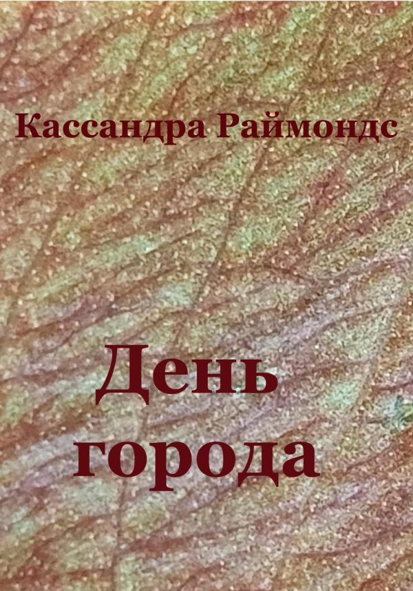 Обложка книги «День города»