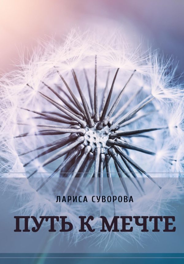 Обложка книги «Путь к мечте»