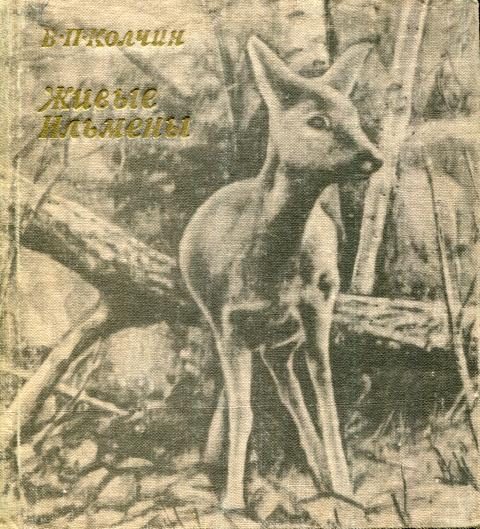 Обложка книги «Живые Ильмены»