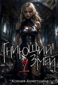 Обложка книги «Гниющий Змей. Книга 1»