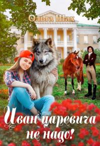 Обложка книги «Иван-царевича не надо»