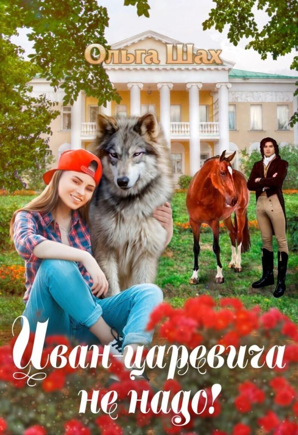 Обложка книги «Иван-царевича не надо»