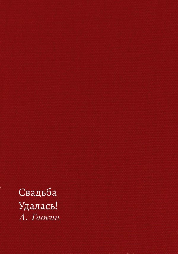Обложка книги «Свадьба удалась!»