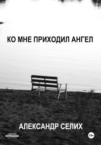 Обложка книги «Ко мне приходил ангел»