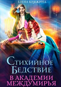 Обложка книги «Стихийное бедствие в Академии Междумирья»